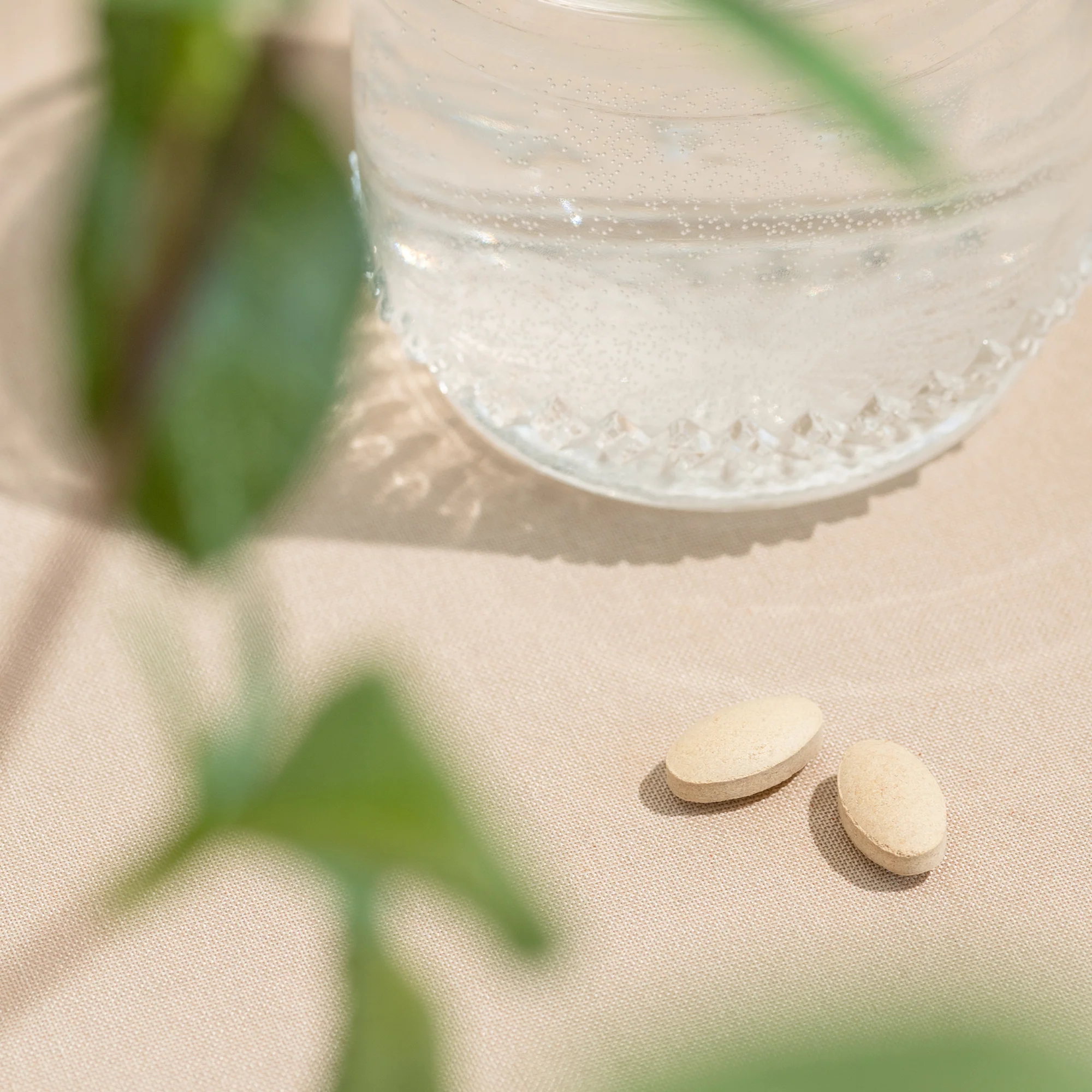 Ashwagandha tablets - Image 5