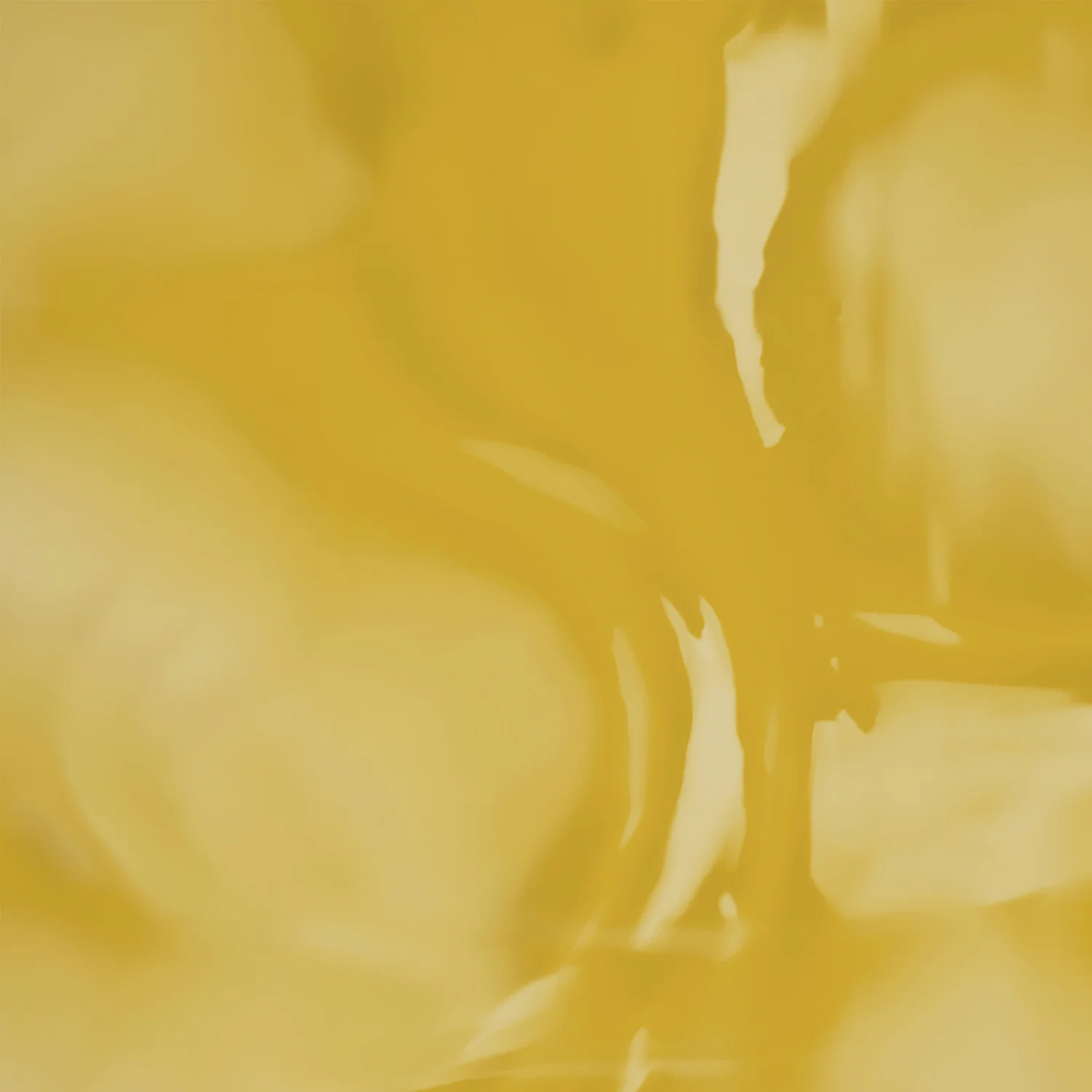 Bhringaraj Oil - Image 10
