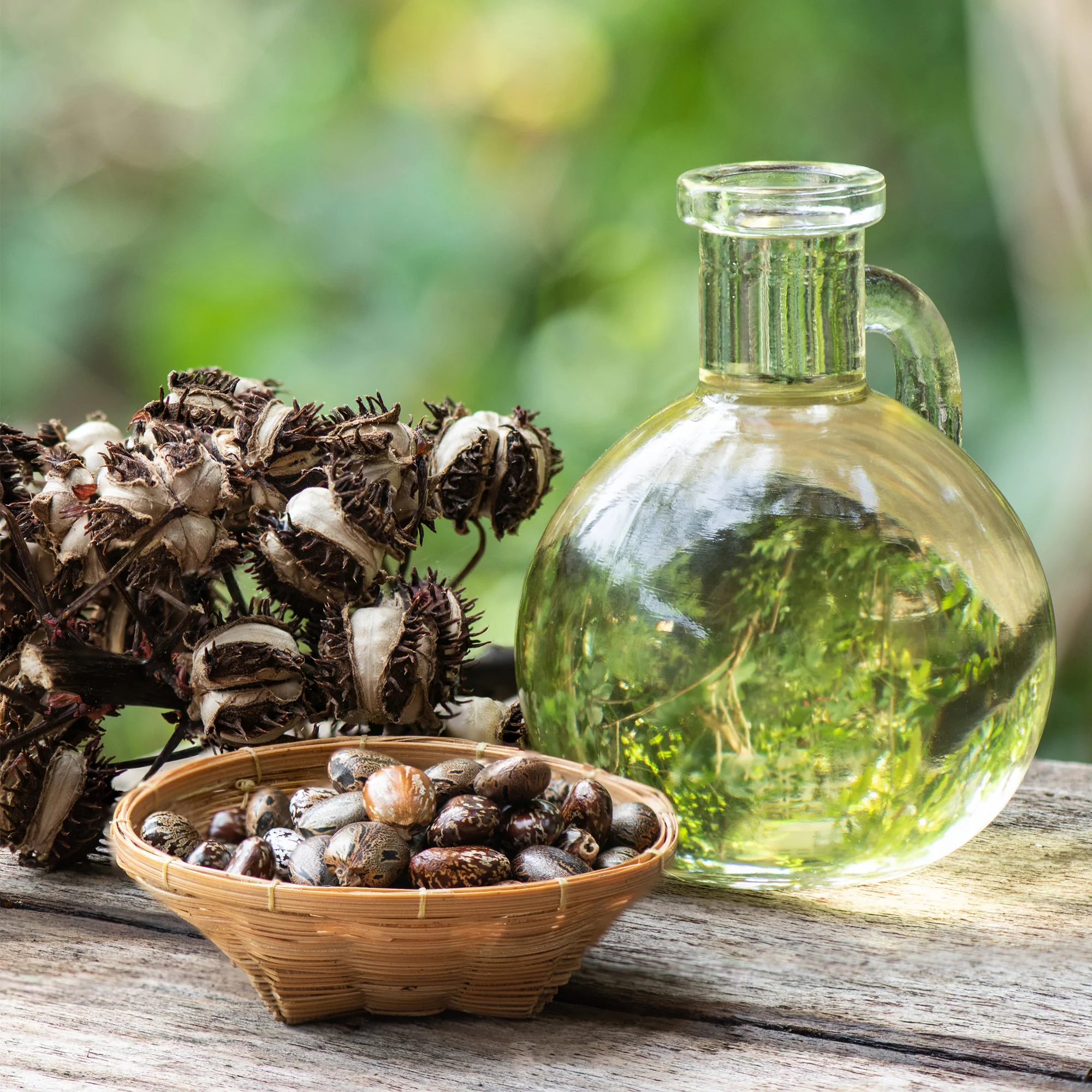 Castor Oil - Image 5