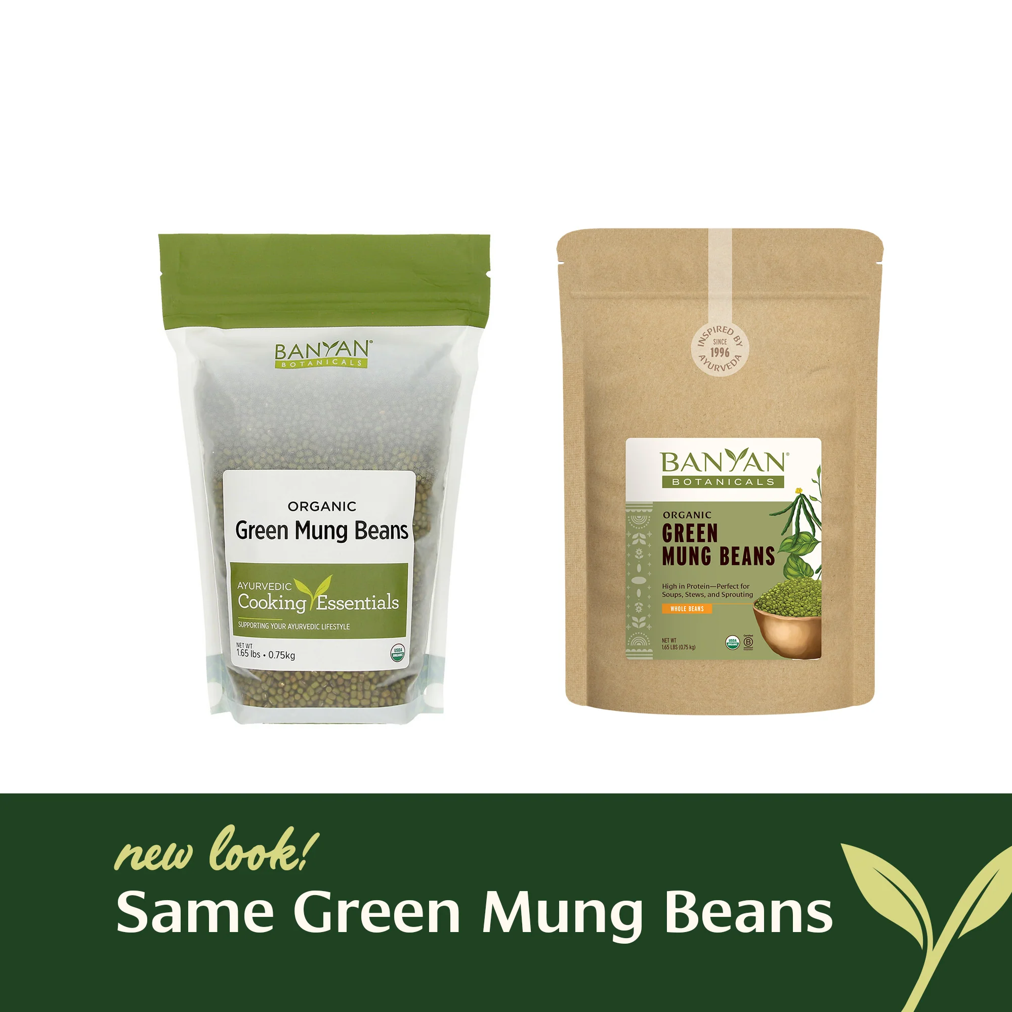 Green Mung Beans - Image 4