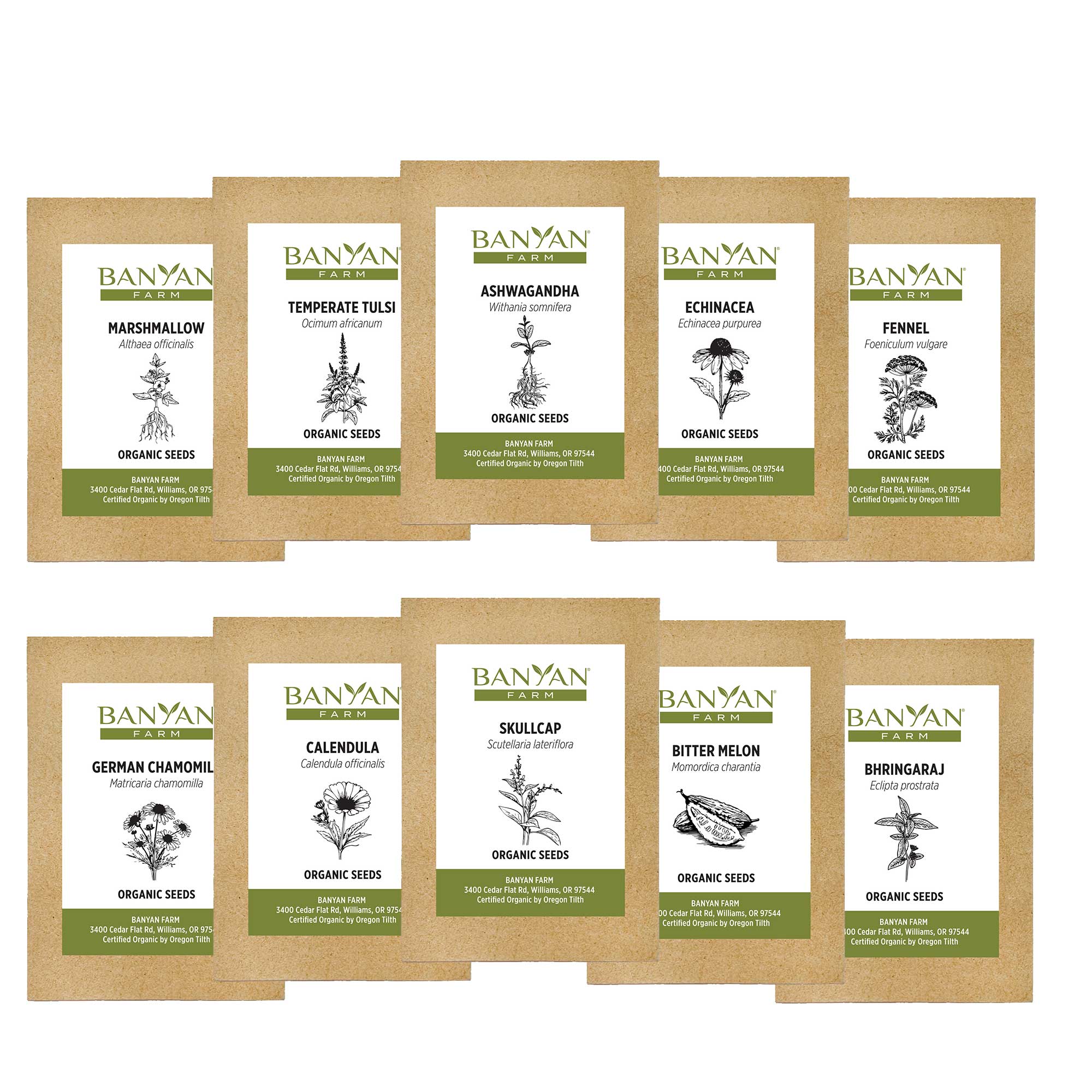 Herb Seed Bundle - Image 2