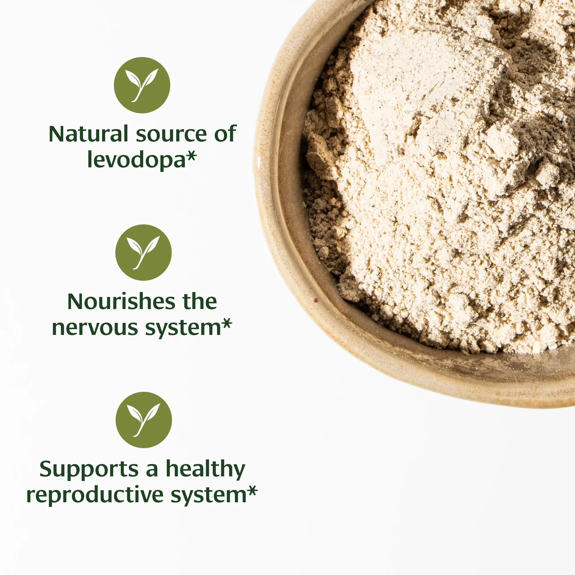 Mucuna (Kapikacchu) powder - Image 3
