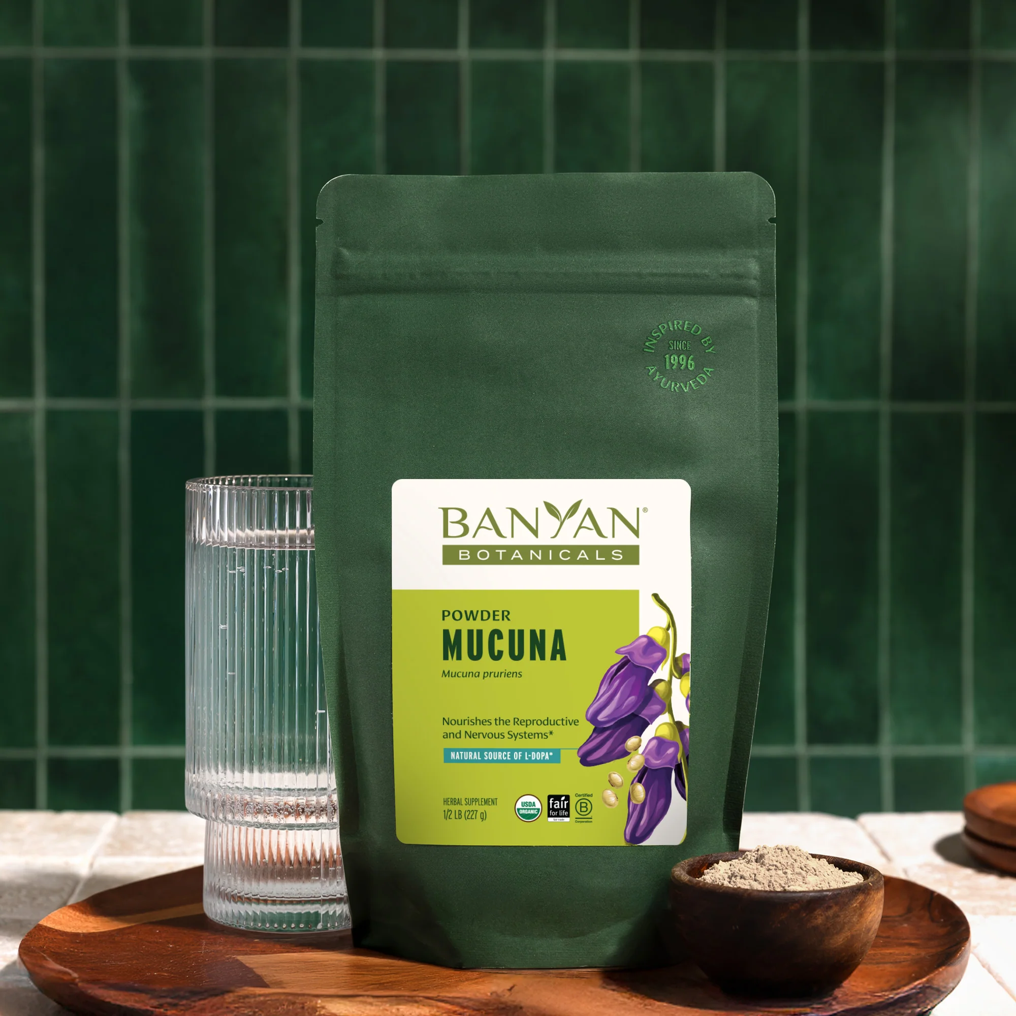 Mucuna (Kapikacchu) powder - Image 4