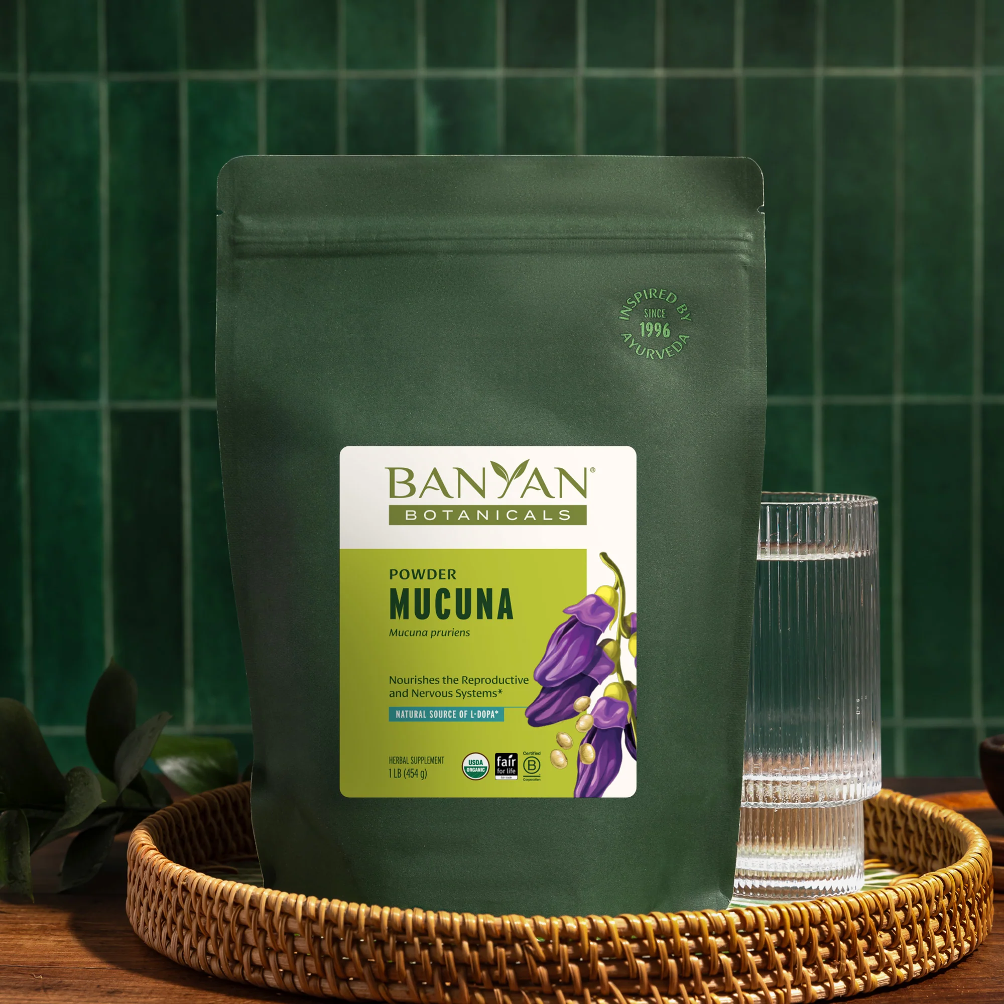 Mucuna (Kapikacchu) powder - Image 5