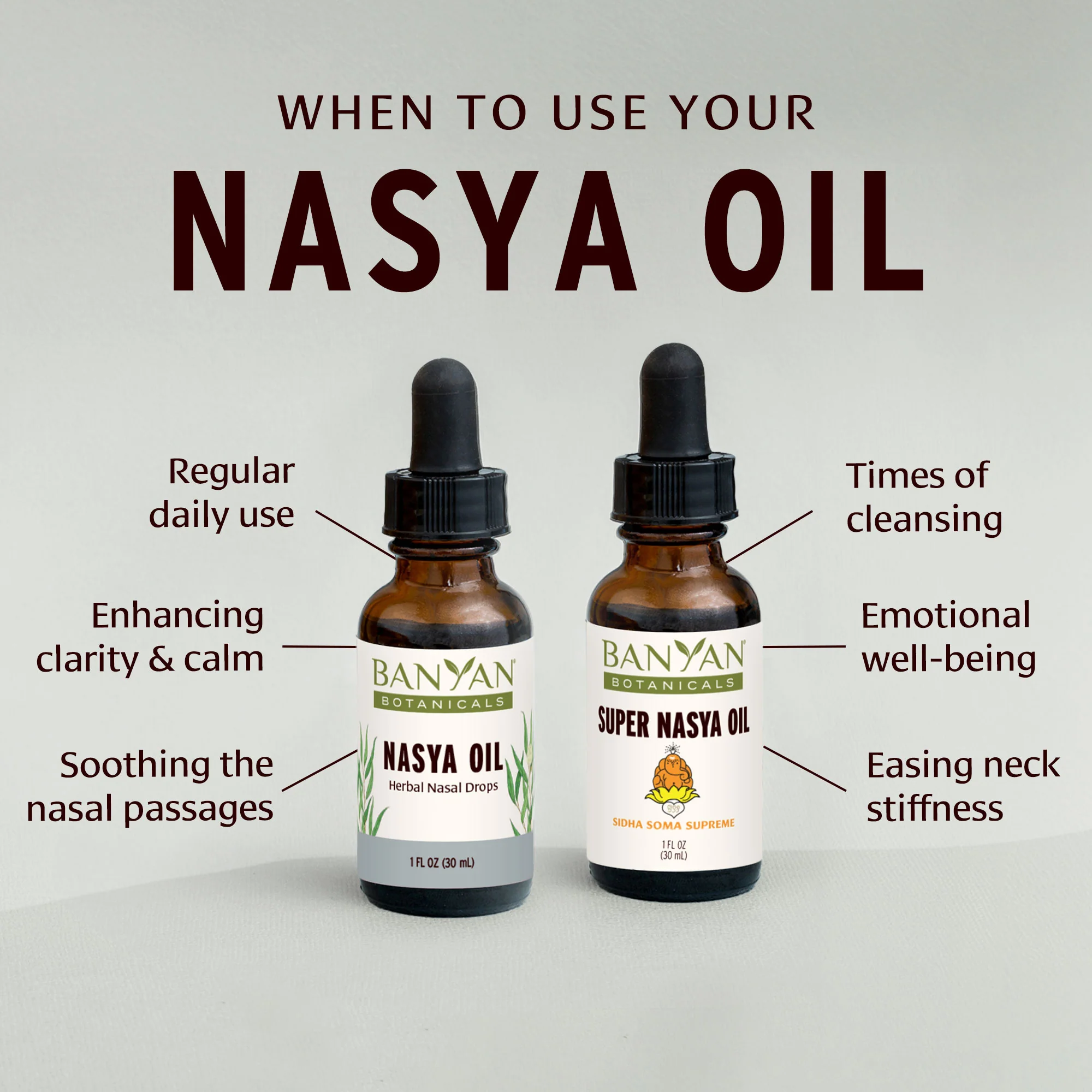 Nasya Oil Bundle - Image 3