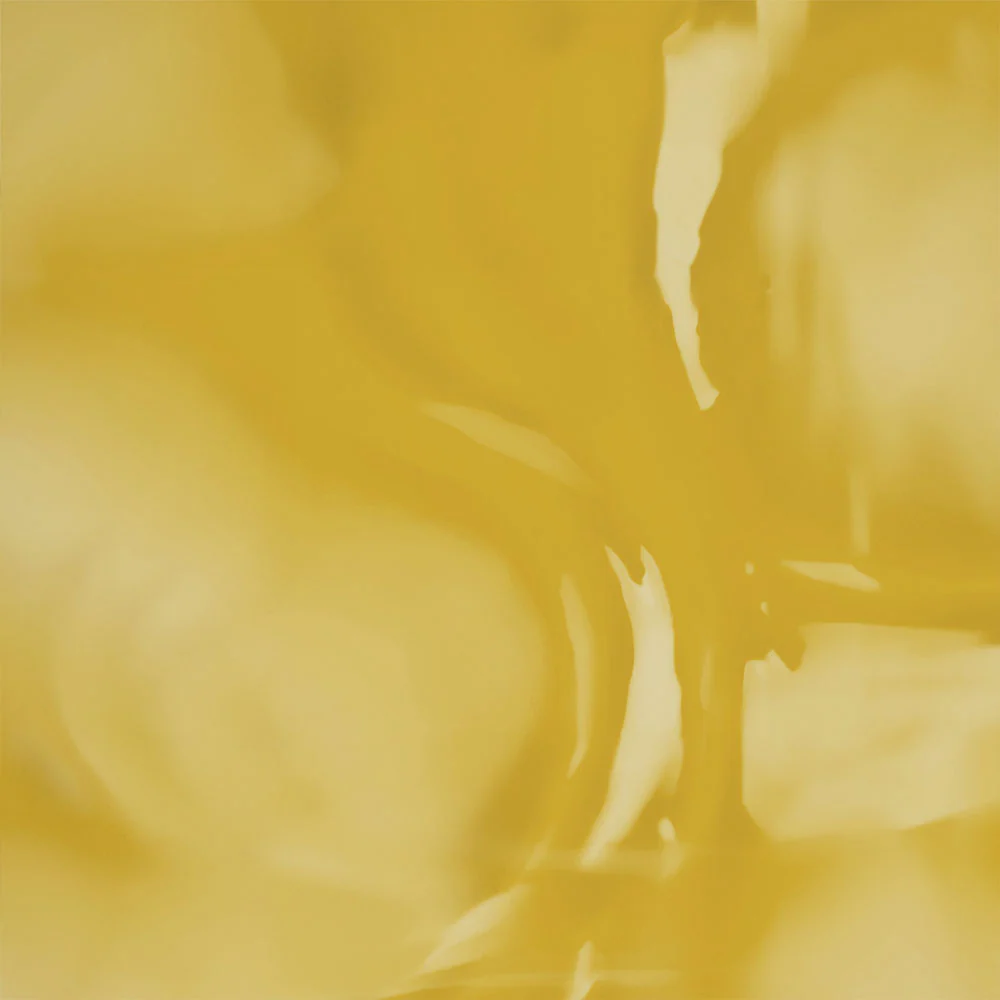 Nirgundi Oil+ - Image 6