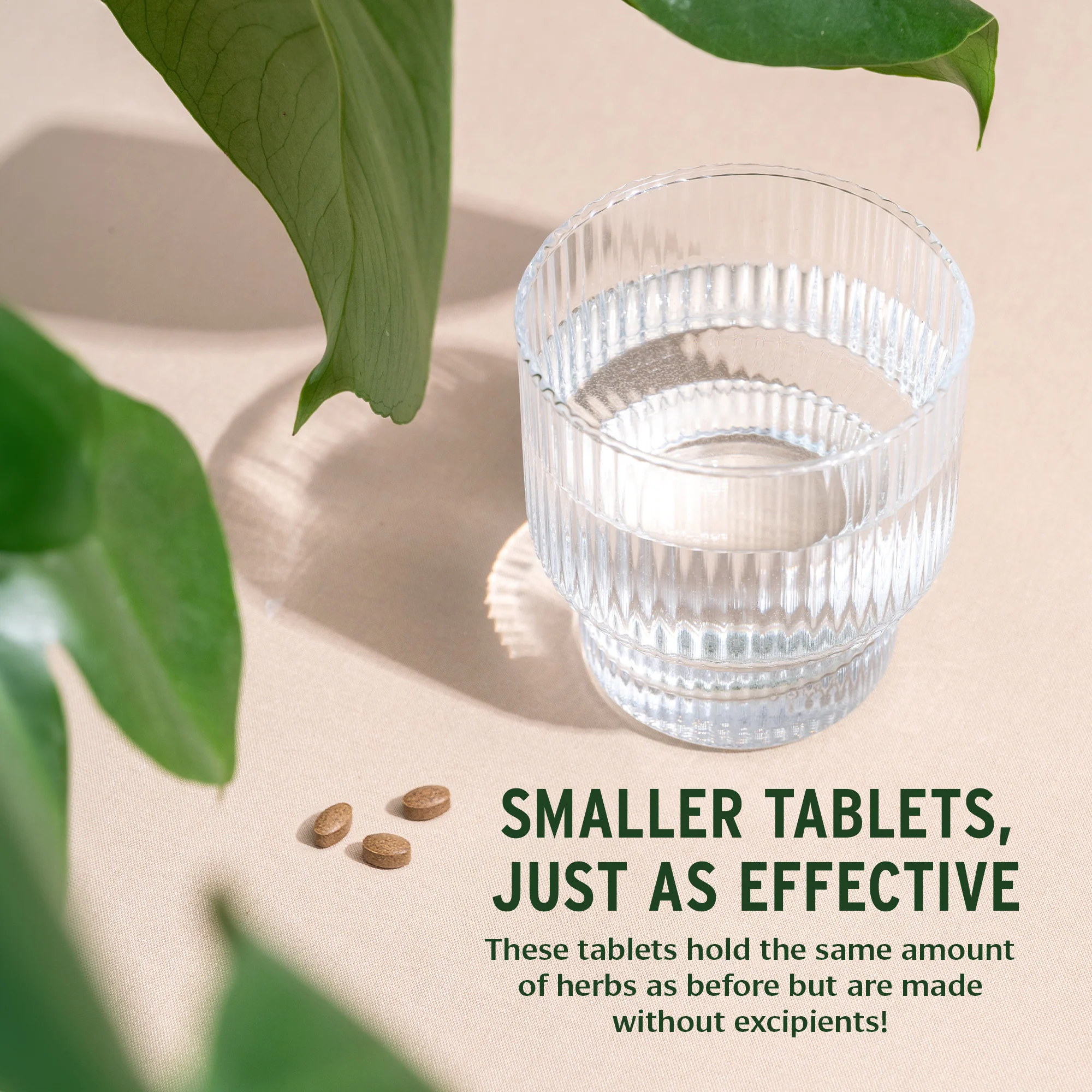 Triphala Guggulu tablets - Image 3