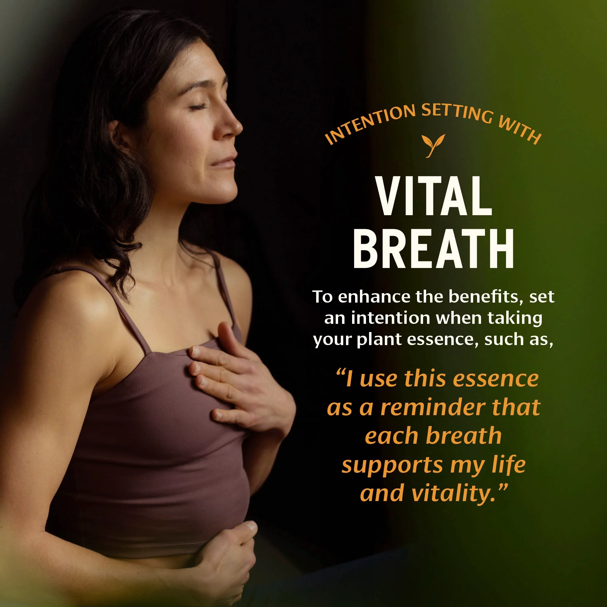 Vital Breath™ Plant Essence - Image 5